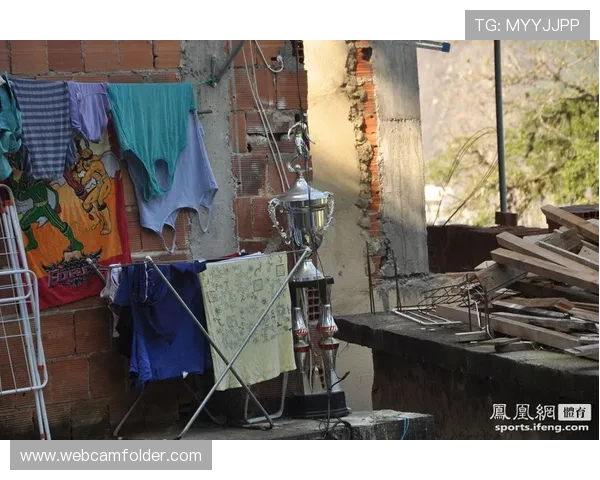 凤凰体育在线买球行业发展趋势与未来预测分析把握市场动态实现投资增值