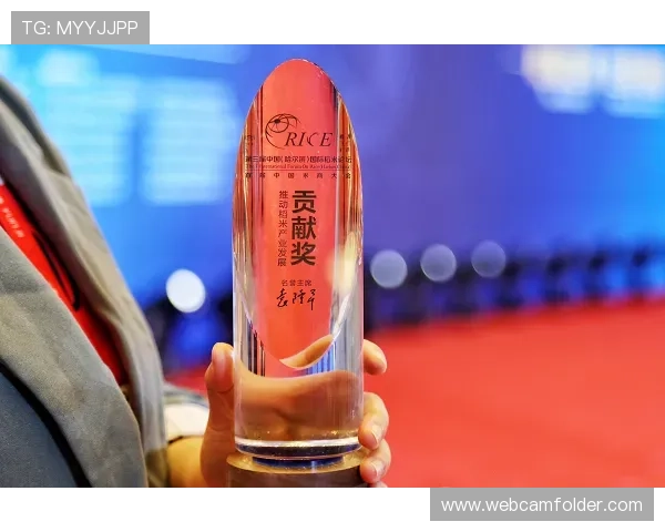 宝博集团的社会责任实践及其对行业可持续发展的贡献