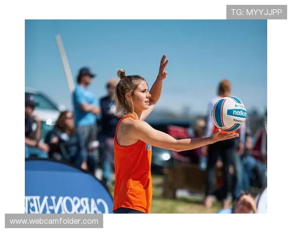 新宝体育平台全面解析:如何选择最适合你的体育博彩网站