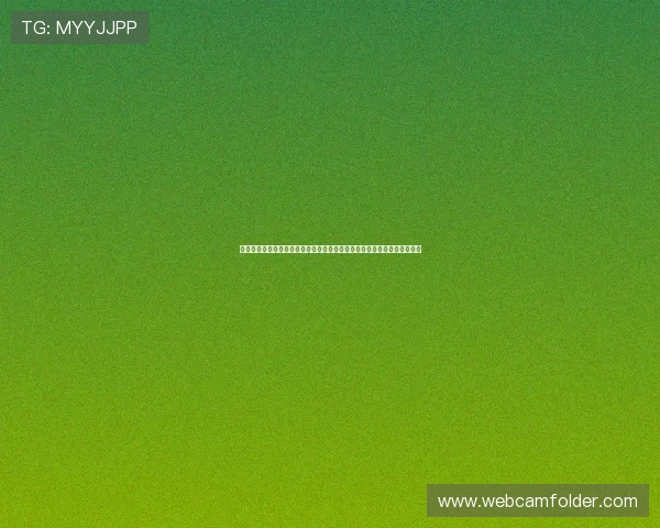 突尼斯和荷兰在世界杯中的锋线对比:前锋组合的战术作用与关键表现分析